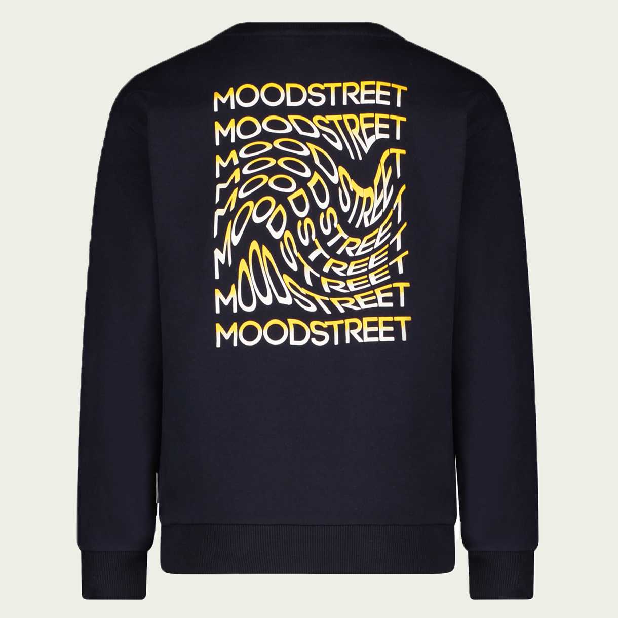 Moodstreet - Trui met rugprint