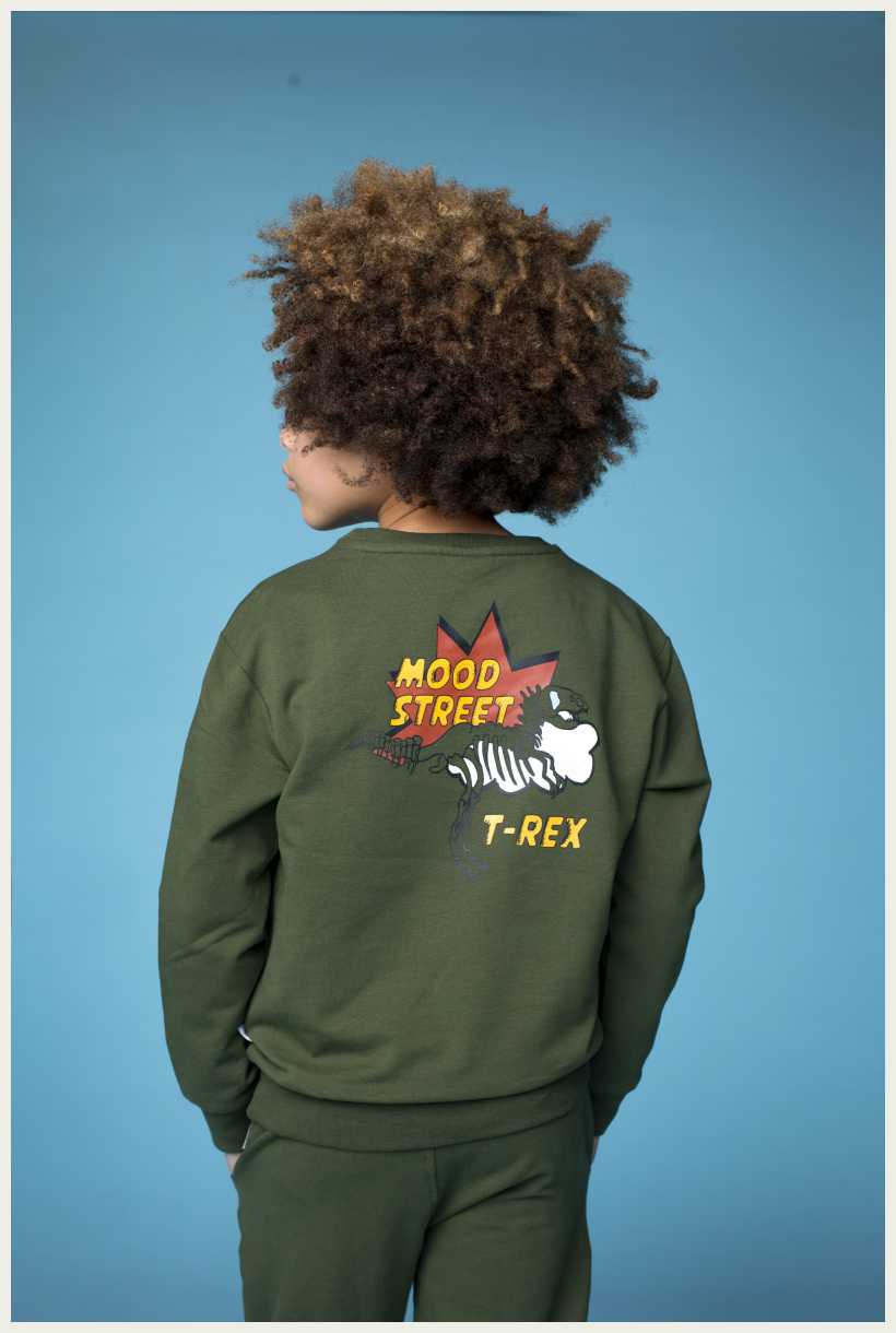 Moodstreet - Trui met t-rex rugprint